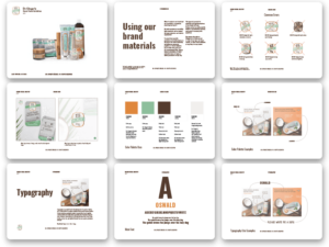 Bent Creative Service: Showcasing Dr. Ginger's branding design document